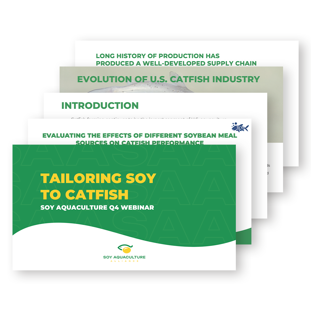 Powerpoint Thumbnail