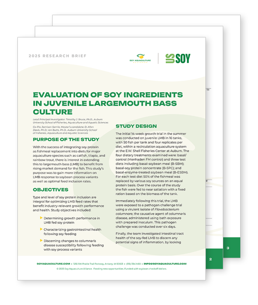 SAA Tech Brief Evaluation Soy Ingredients Juvenile Largemouth Bass Culture Largemouth Bass